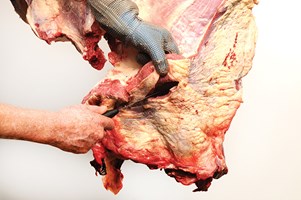 Meat Cut Spec Step 8